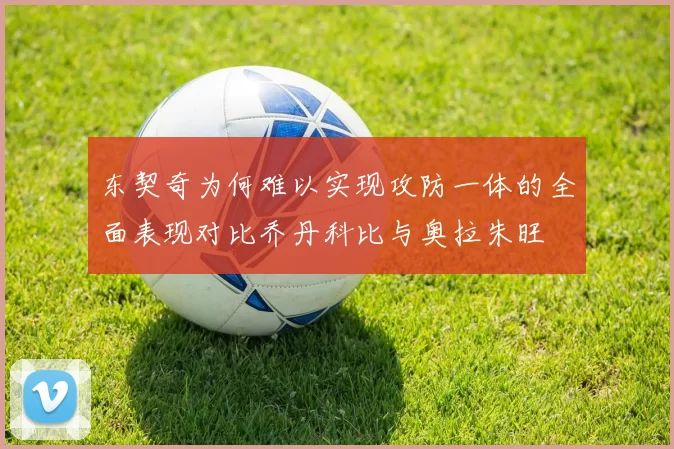 东契奇为何难以实现攻防一体的全面表现对比乔丹科比与奥拉朱旺